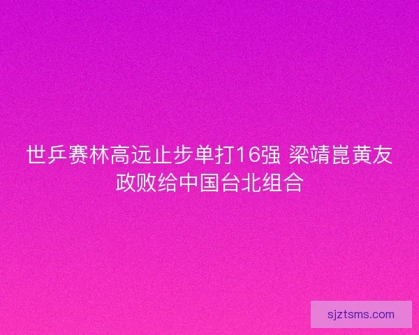 世乒赛林高远止步单打16强 梁靖崑黄友政败给中国台北组合