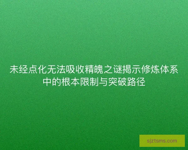 未经点化无法吸收精魄之谜揭示修炼体系中的根本限制与突破路径